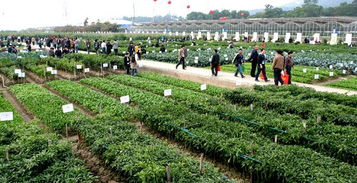 中外5765個農作物品種齊聚廣東種業博覽會，共繪現代農業新圖景