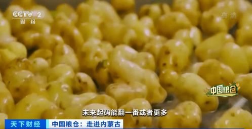 種子革命 常見作物身價倍增，百億產業背后的科技密碼